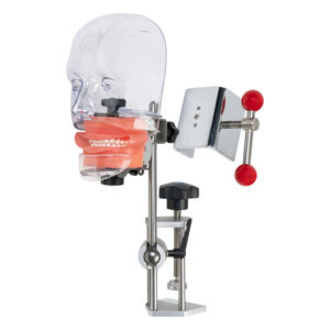 Symulator stomatologiczny- przezroczysty model jamy ustnej