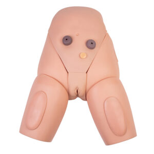 Damski fantom do nauki cewnikowania z miednicą