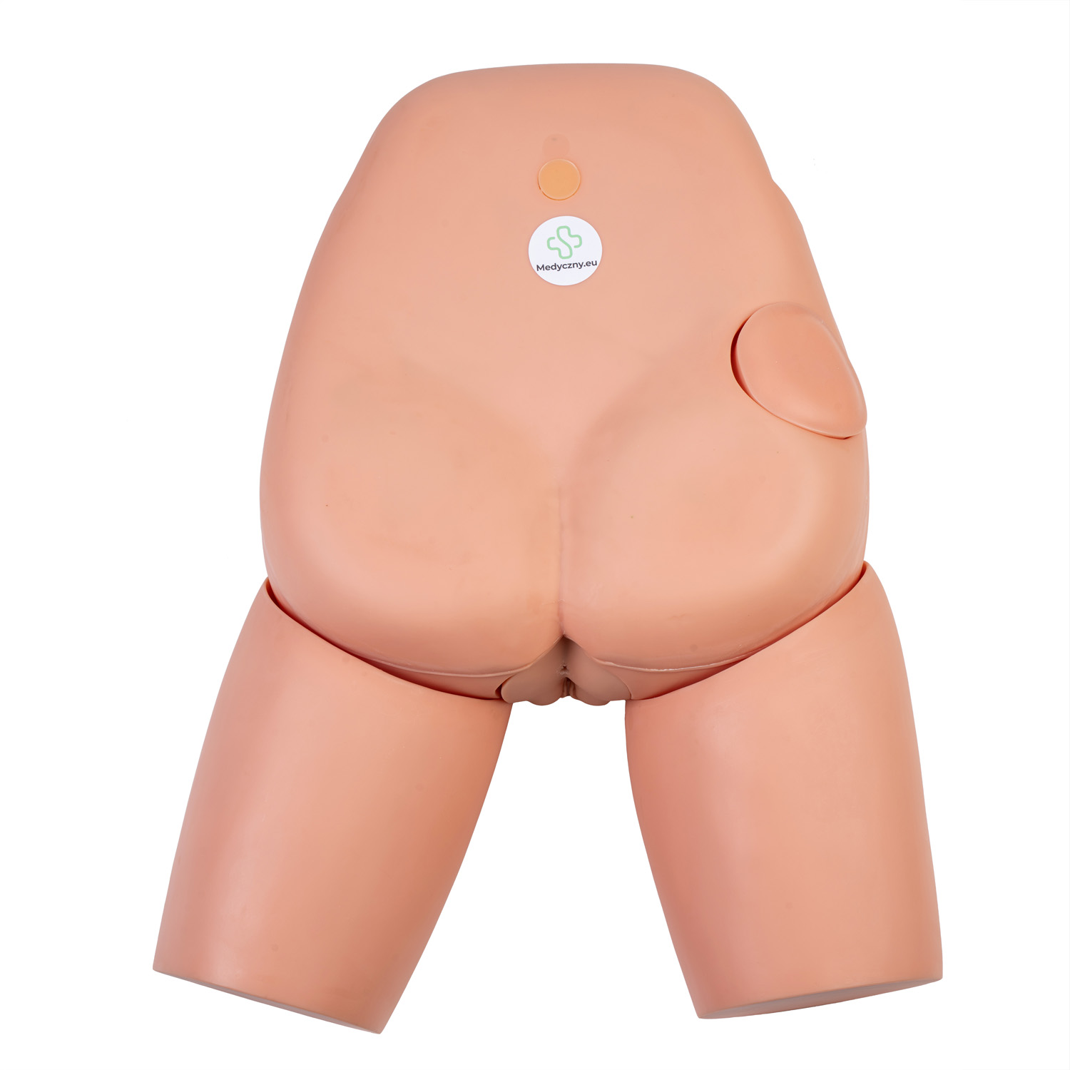 Damski fantom do nauki cewnikowania z miednicą