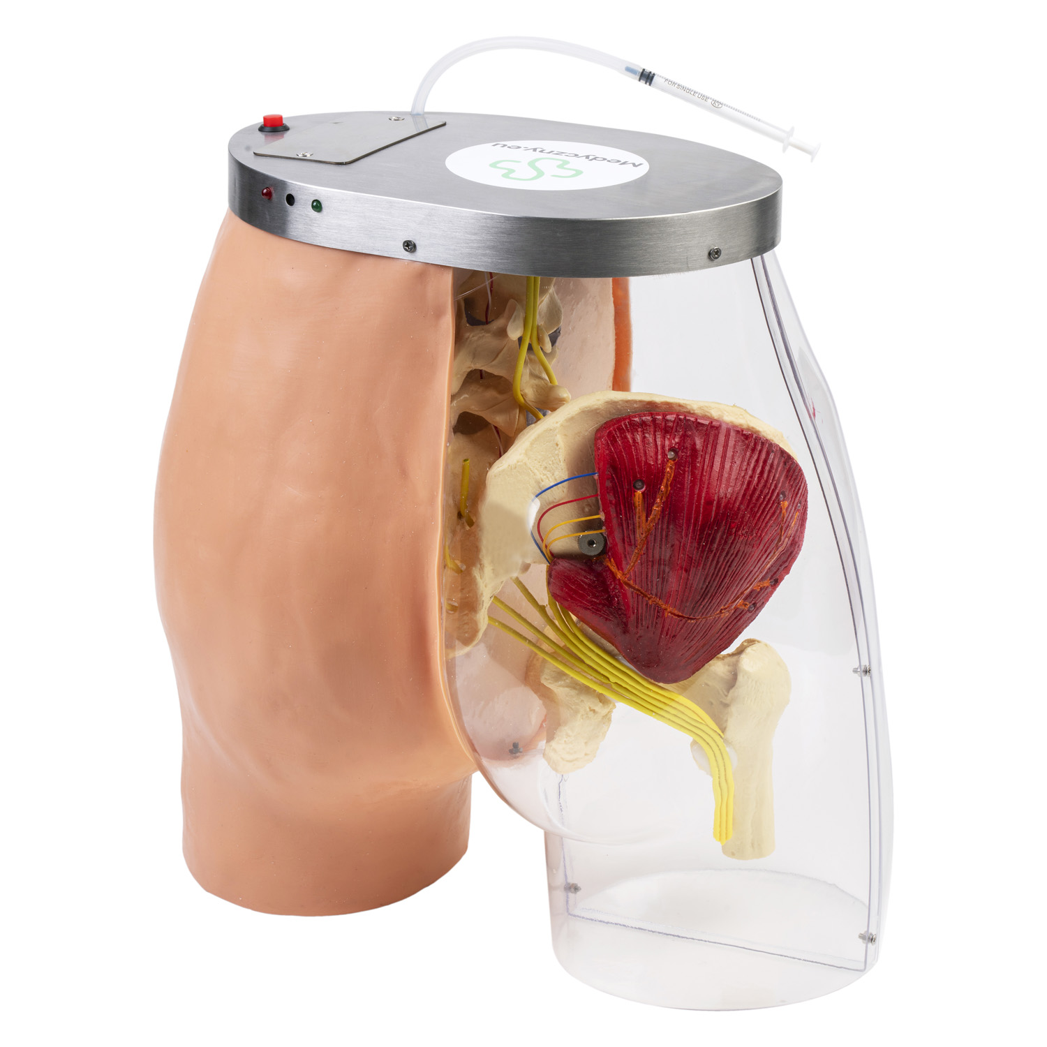 Symulator iniekcji domięśniowych