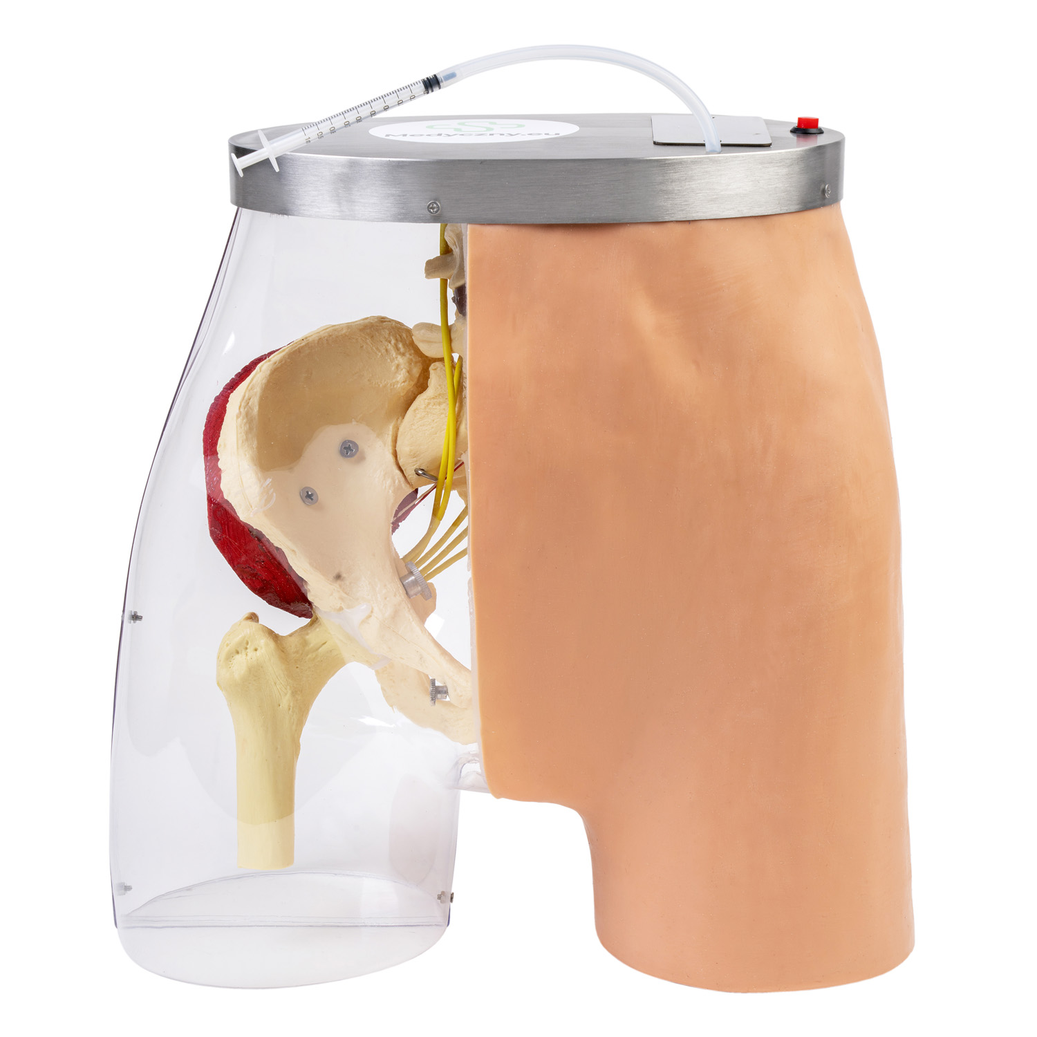 Symulator iniekcji domięśniowych