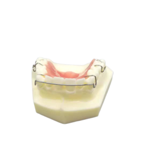 Model dentystyczny dolnej szczęki z retainerem