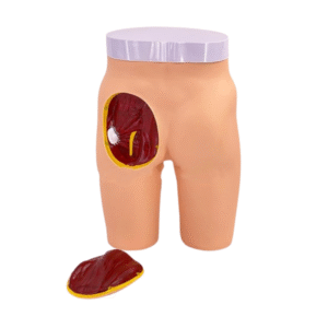 Symulator iniekcji w mięsień biodrowy