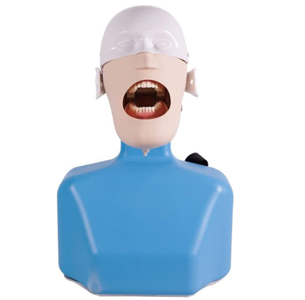 Symulator stomatologiczny– popiersie montowane do zagłówka fotela i stolika (2w1)