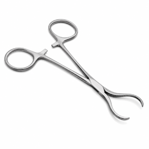 Two stainless steel surgical instruments crossed: a straight-ring scissors and a curved needle holder with serrated jaws.