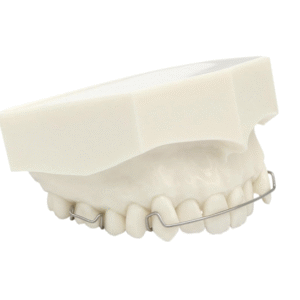 Model dentystyczny górnej szczęki z retainerem