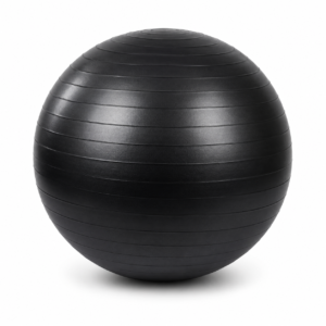 Gymball 65 cm #4024