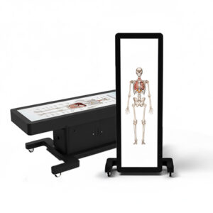 Wirtualny stół anatomiczny 3D, 88', #STEDU03